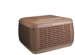 [Product Image]